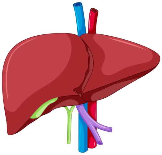 oq6c oqju 160610 photoroom